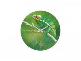 Часы настенные Nicole Time NT503 в Ташаре - tashara.mebel-nsk.ru | фото