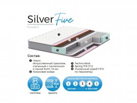 Матрас Silver Five в Ташаре - tashara.mebel-nsk.ru | фото